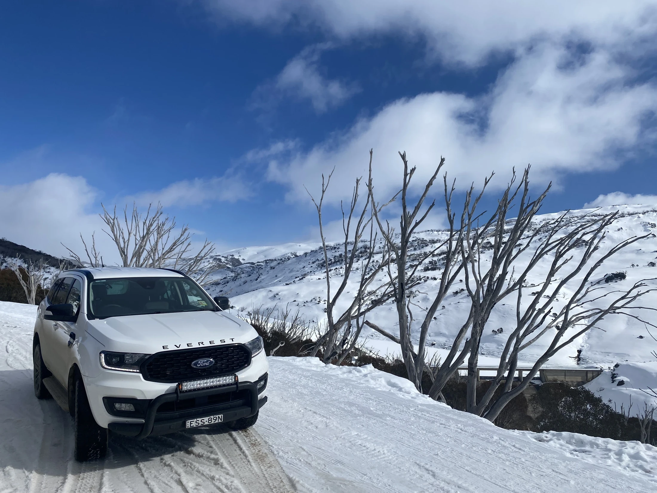 Snowy Mountains